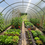 Modular Steel Tunnel Greenhouse | Width 4m